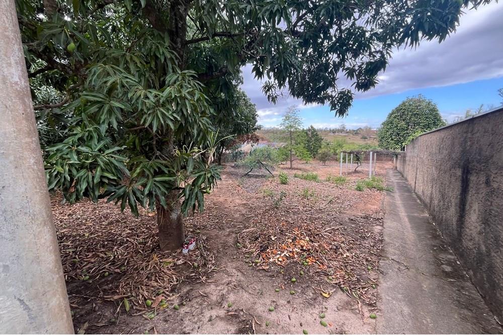 Chácara / Sítio / Fazenda - Venda - Cosmópolis , São Paulo - IMG-20250930-WA0052.jpg - Quintal - 690511143-104