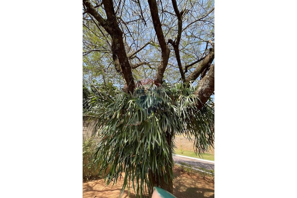 Casa de Condomínio - Alugar - Vinhedo , São Paulo - IMG_2776.JPG - 690491062-161