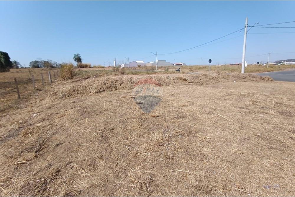 Terreno - Venda - Mogi Guaçu , São Paulo - WhatsApp Image 2025-07-22 at 13.07.01 (2).jpeg - Quintal - 690521033-176