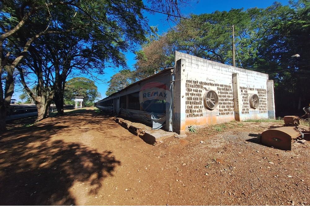 Chácara / Sítio / Fazenda - Venda - Conchal , São Paulo - 20250617_134831.jpg - 690751019-291