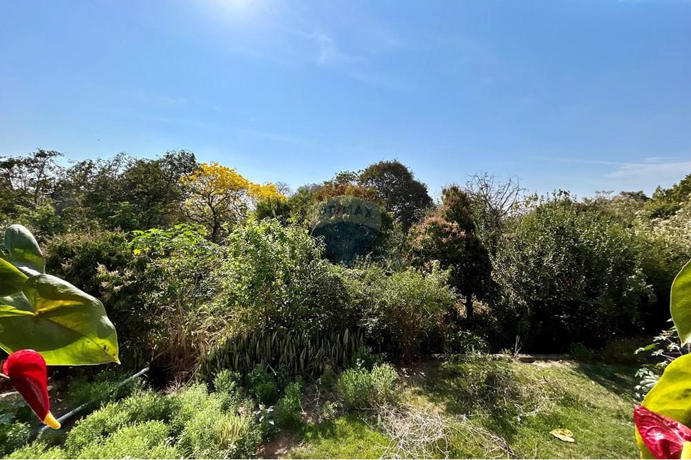 Terreno - Venda - Piracicaba , São Paulo - IMG_6449.JPG - 690781071-61