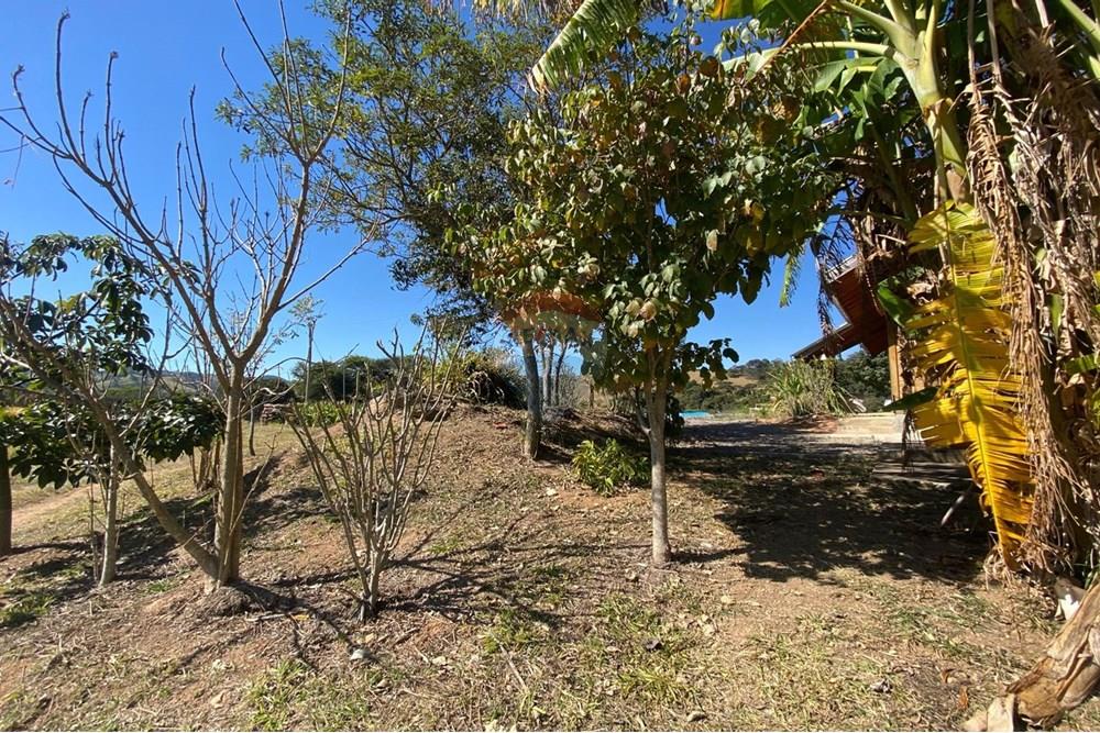 Chácara / Sítio / Fazenda - Venda - Monte Sião , Minas Gerais - WhatsApp Image 2025-07-18 at 18.06.49 (1).jpeg - Jardim Externo - 690291077-219