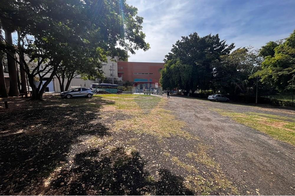 Terreno - Venda - Hortolândia , São Paulo - f6ff96a0-bd6d-4d2d-932d-51e86a786ba2.jpg - 690701021-52