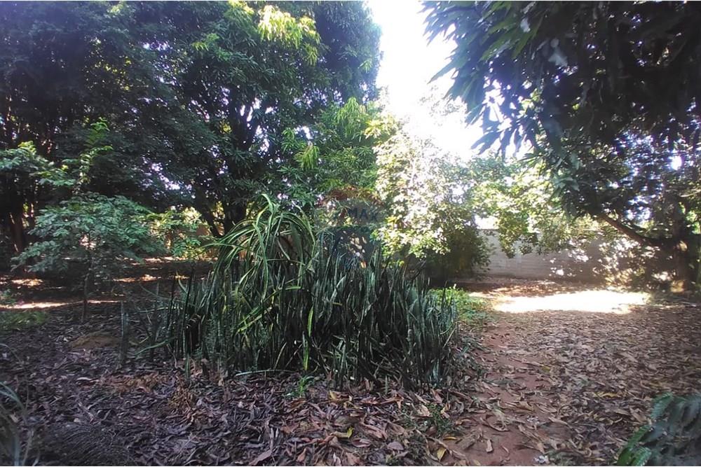 Chácara / Sítio / Fazenda - Venda - Mogi Mirim , São Paulo - Foto sr Mario 17.jpeg - Pátio interno - 690751061-27