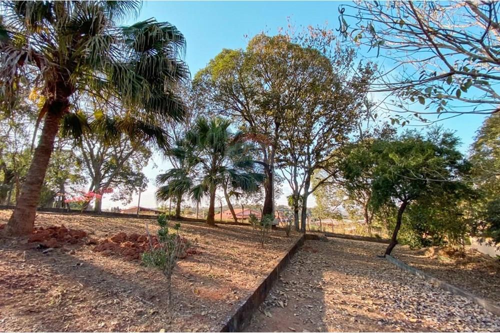 Chácara / Sítio / Fazenda - Venda - Itapira , São Paulo - Imagem do WhatsApp de 2025-02-04 à(s) 12.00.31_aefd3541.jpg - Quintal - 690291048-31