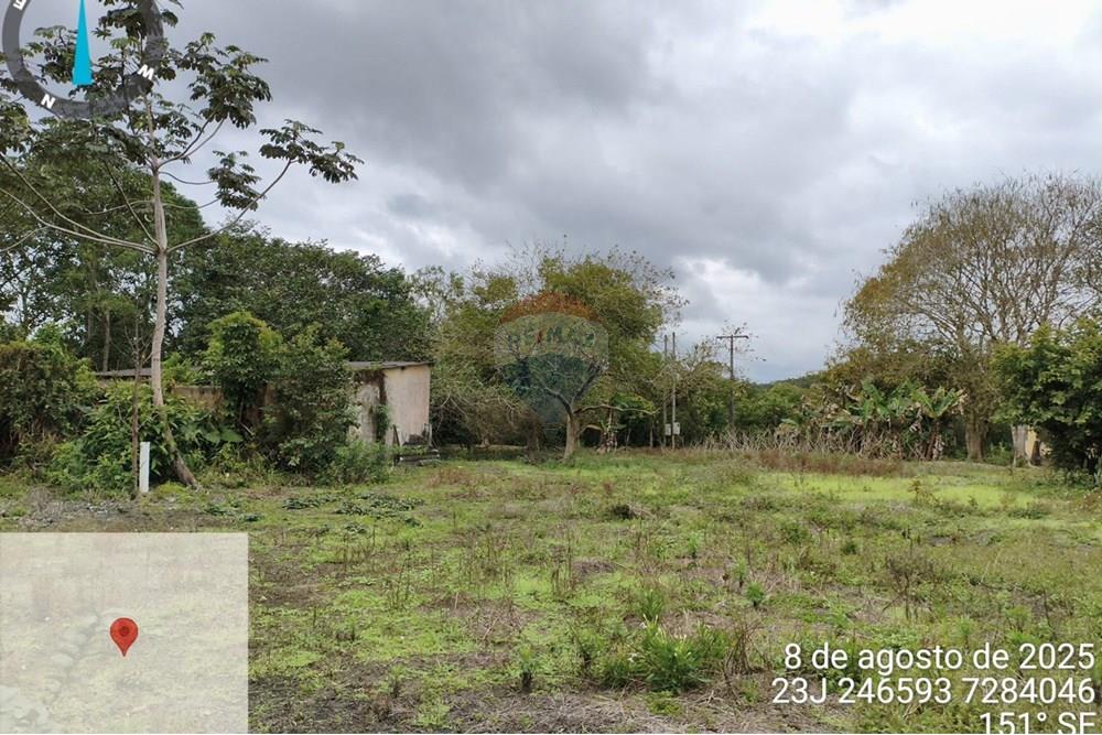 Fazenda - Venda - Iguape , São Paulo - WhatsApp Image 2025-08-11 at 16.22.26 (2).jpeg - 690061038-13