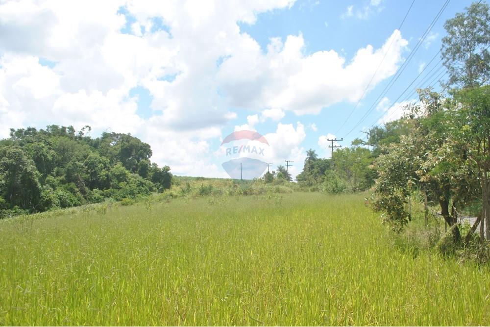 Chácara / Sítio / Fazenda - Alugar - Jaguariúna , São Paulo - DSC_0062.JPG - 690671057-4