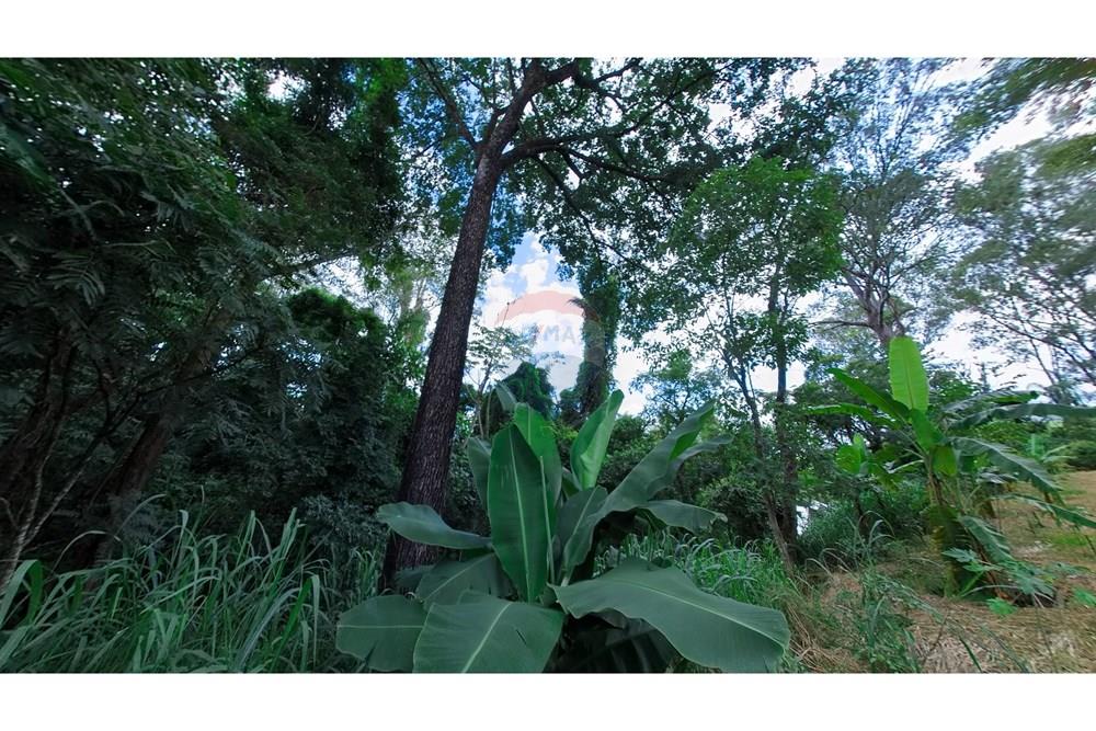 Chácara / Sítio / Fazenda - Venda - Araras , São Paulo - IMG_20250115_160828_00_394_PureShot.jpg - 690691016-236