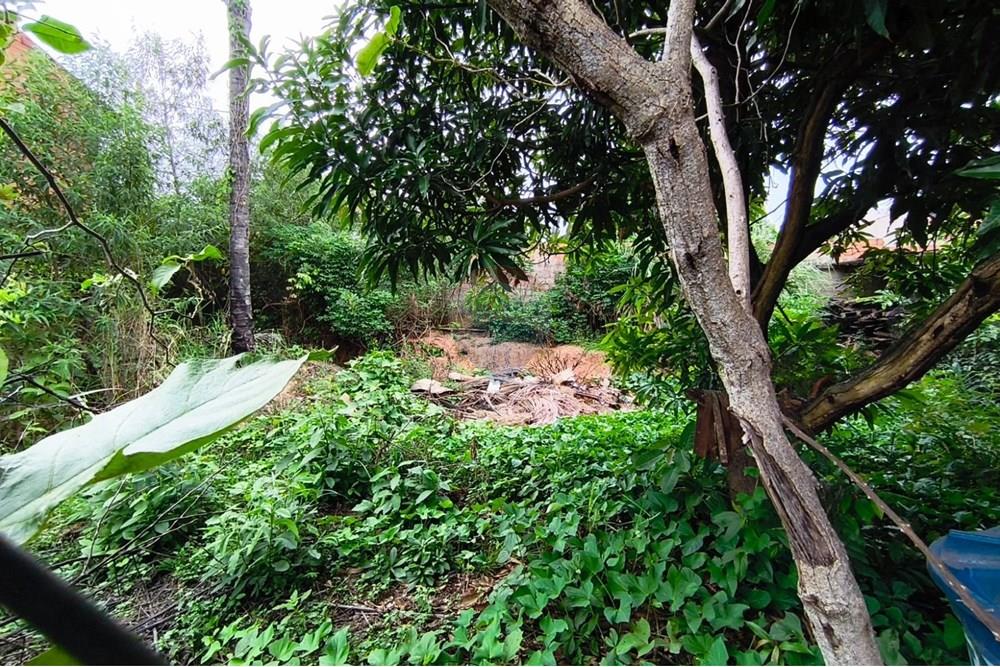 Terreno - Venda - Mogi Guaçu , São Paulo - WhatsApp Image 2025-04-25 at 17.30.51 (1).jpeg - 690521018-181