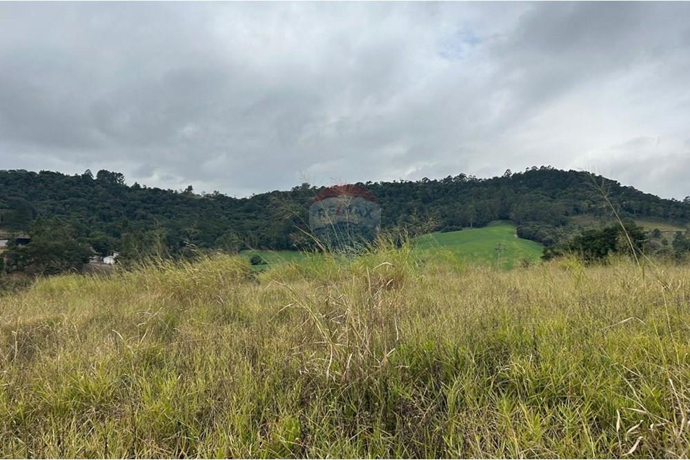 Terreno - Venda - Jarinu , São Paulo - WhatsApp Image 2025-07-04 at 18.07.14 (11).jpeg - 690661027-116