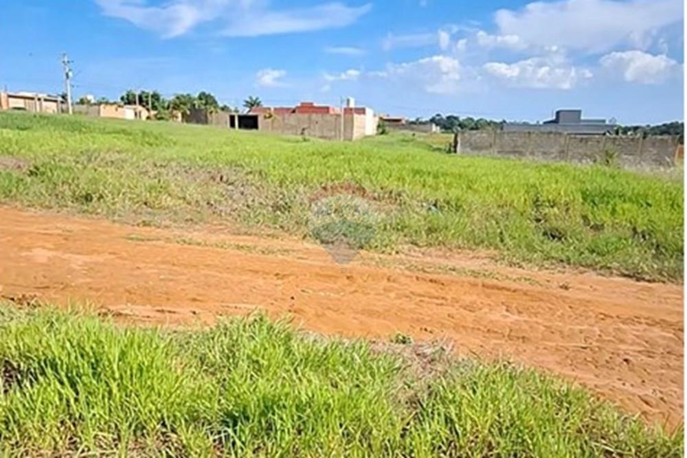 Terreno - Alugar - Mogi Mirim , São Paulo - IMG-20241209-WA0037.jpg - 690751048-95