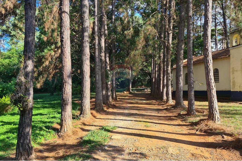 Chácara / Sítio / Fazenda - Venda - Bragança Paulista , São Paulo - 20250321_161136.jpg - 690041041-37