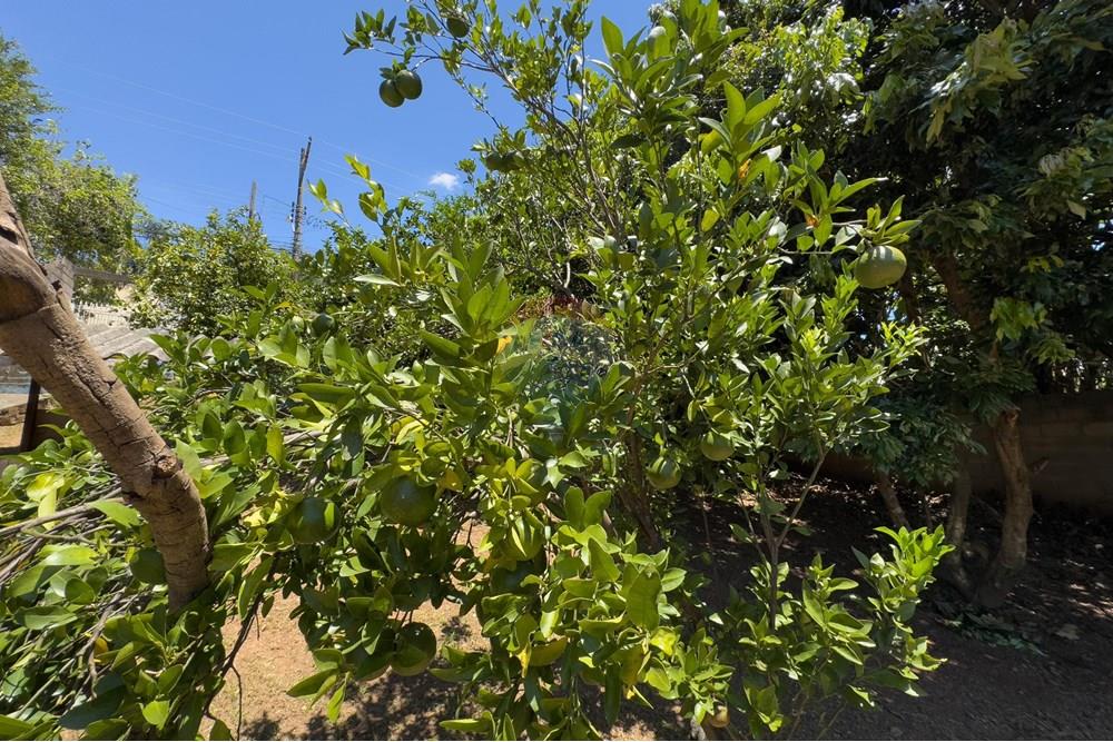 Casa - Venda - Valinhos , São Paulo - IMG_2552.jpg - Jardim Externo - 690491075-39