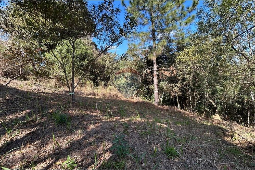 Terreno - Venda - Jarinu , São Paulo - IMG-20250819-WA0014.jpg - 690661027-137