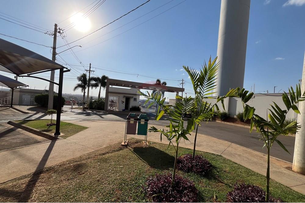 Apartamento - Alugar - Cosmópolis , São Paulo - IMG_3981.JPG - 690831004-249