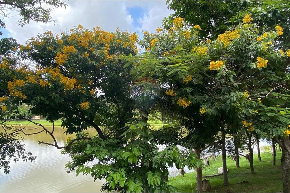 Casa de Condomínio - Venda - Vinhedo , São Paulo - 8b1efaae-9c9f-4538-bd65-4555e4a3f06f.jpeg - 690541076-48