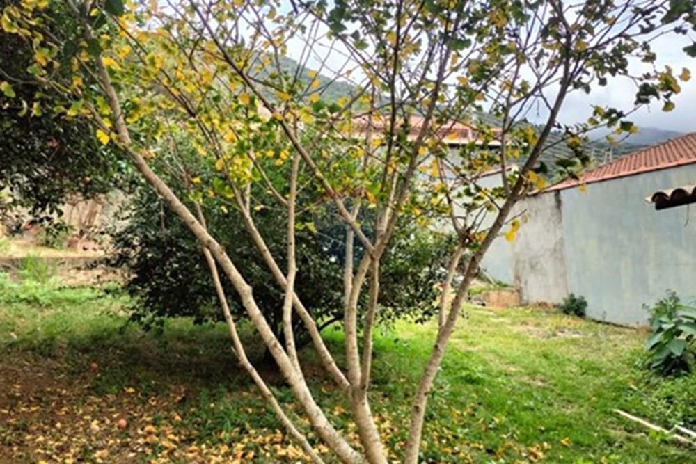 Terreno - Venda - Extrema , Minas Gerais - IMG-20250828-WA0016.jpg - 690041169-15