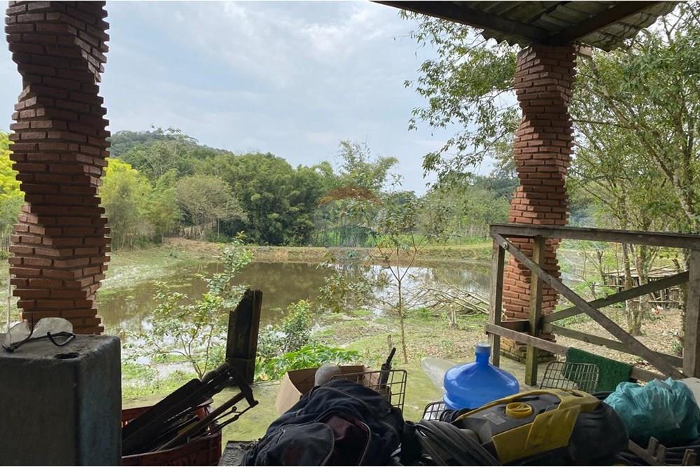 Fazenda - Venda - Sete Barras , São Paulo - WhatsApp Image 2025-08-26 at 13.13.15 (34).jpeg - 690061038-12