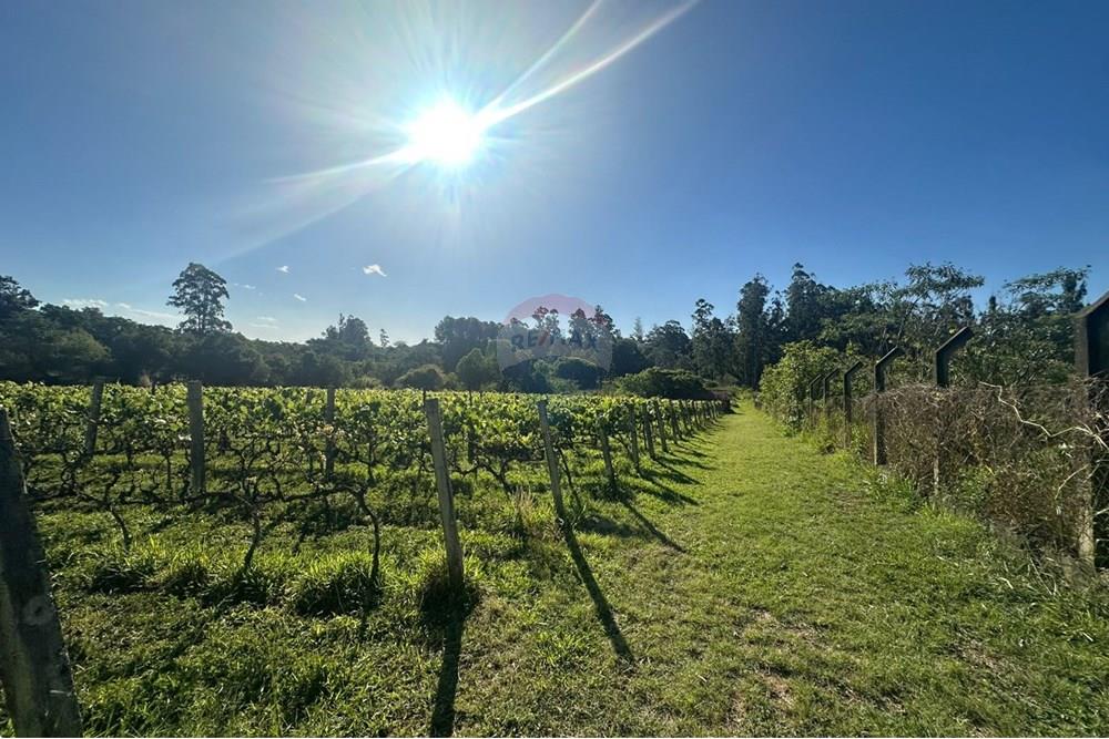 Chácara / Sítio / Fazenda - Venda - Jundiaí , São Paulo - WhatsApp Image 2025-10-23 at 13.29.02 (4).jpeg - 690801041-183