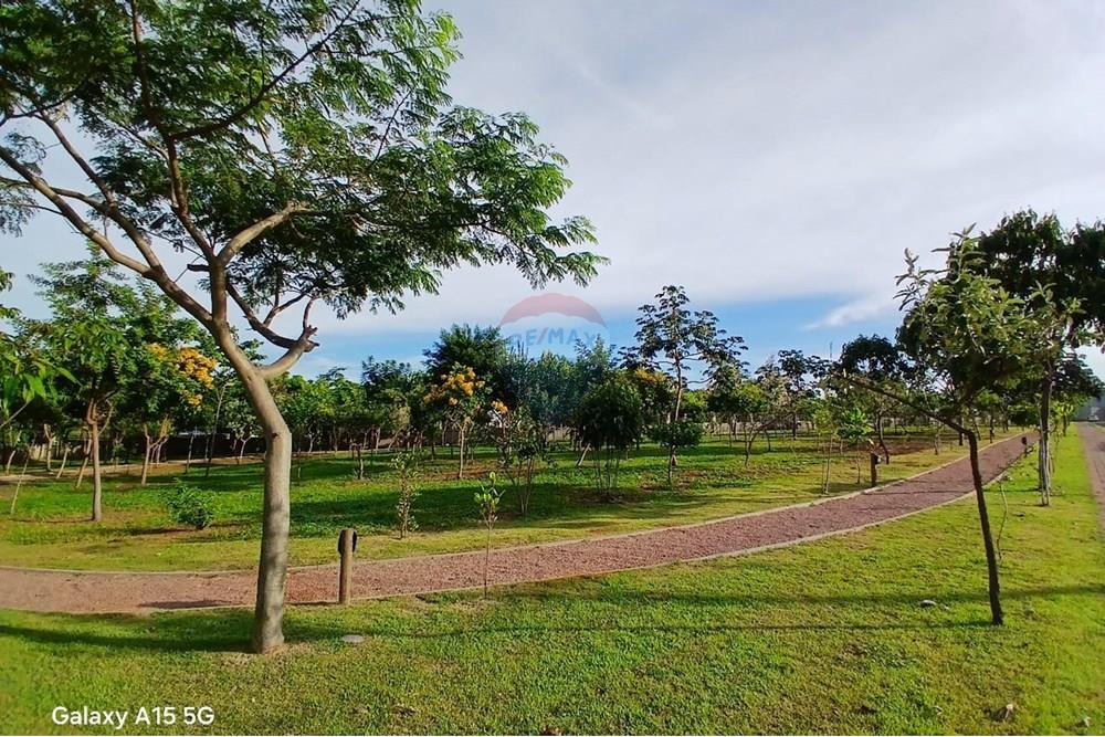 Terreno - Venda - Paulínia , São Paulo - WhatsApp Image 2025-01-22 at 13.14.46.jpeg - 690511182-47