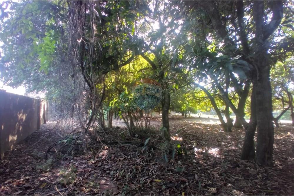 Chácara / Sítio / Fazenda - Venda - Mogi Mirim , São Paulo - Foto sr Mario 14.jpeg - Pátio interno - 690751061-27