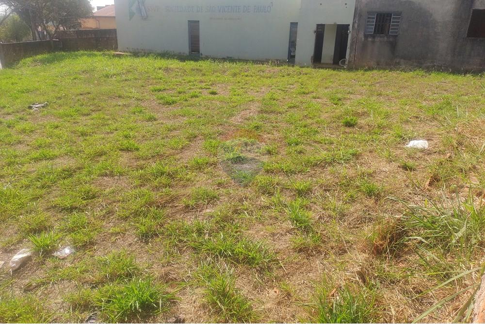 Terreno - Venda - Cosmópolis , São Paulo - IMG_20240801_135649473.jpg - 690831005-1001