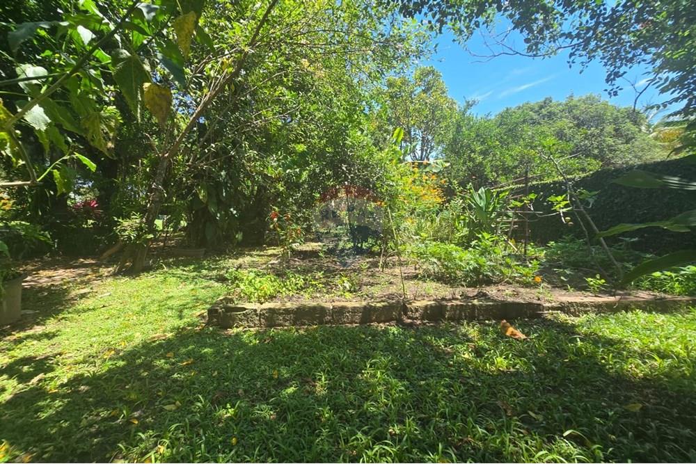 Chácara / Sítio / Fazenda - Venda - Americana , São Paulo - IMG-20250220-WA0073.jpg - 691071001-19