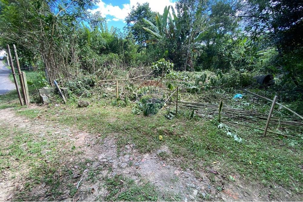 Terreno - Venda - Mairiporã , São Paulo - 03368766-26e4-4546-a836-9c7e128e2a74.jpeg - 690041107-11