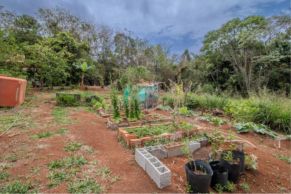 Chácara / Sítio / Fazenda - Venda - Jarinu , São Paulo - RINF-063.jpg - 690921112-7