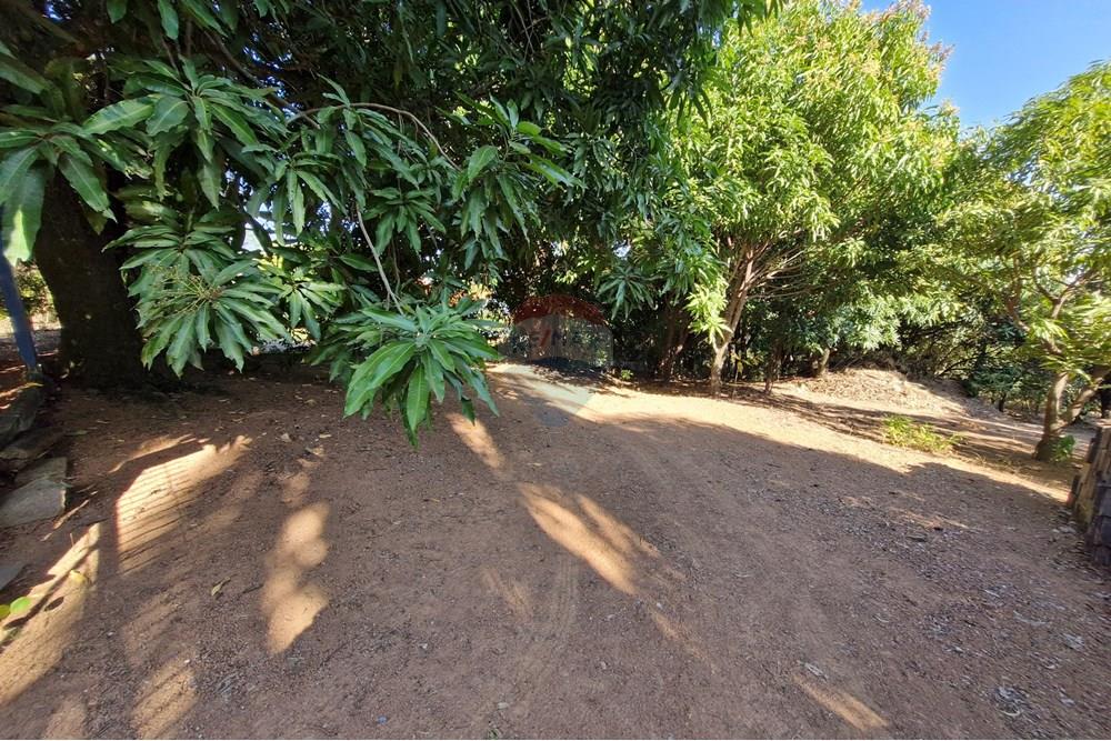 Terreno - Venda - Jaguariúna , São Paulo - 20250814_151732.jpg - 690671008-325