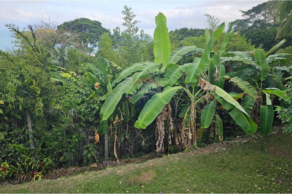 Casa de Condomínio - Venda - Caraguatatuba , São Paulo - 0bacae07-7362-4582-b878-b582c2ed96ef.jpeg - 690661013-216