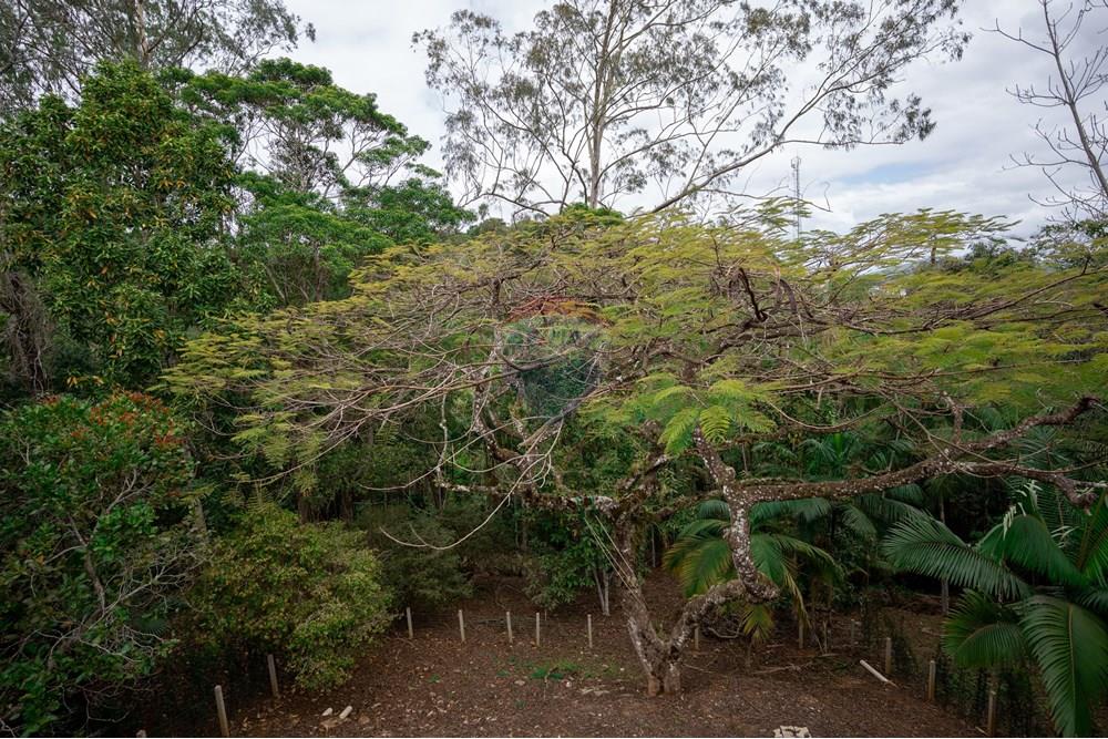 Casa - Venda - Pariquera-Açu , São Paulo - DSC08772.jpg - 690061012-104