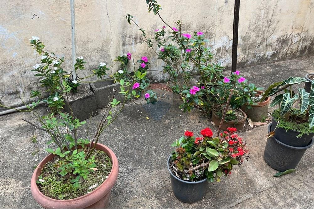 Chácara / Sítio / Fazenda - Venda - Cosmópolis , São Paulo - IMG-20250930-WA0080.jpg - 690511143-104