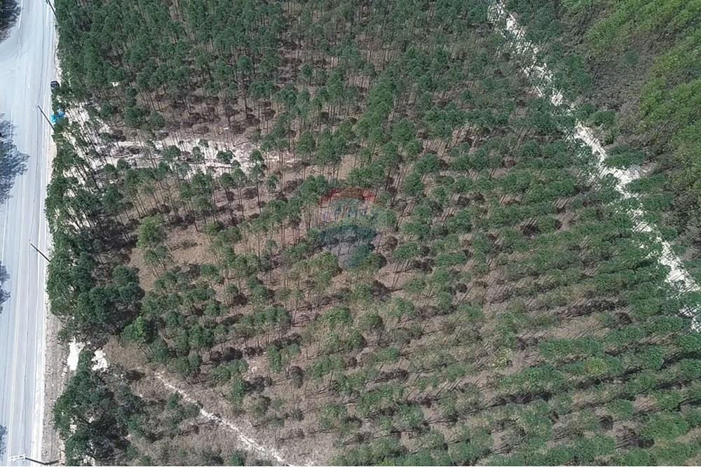 Terreno - Venda - Capivari , São Paulo - 2025-10-16-11-22-03-910.jpg - 690091034-64