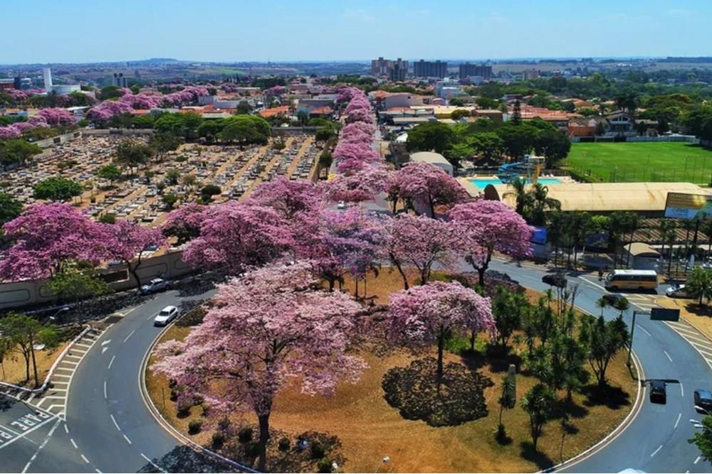 Terreno - Venda - Paulínia , São Paulo - Captura de tela 2025-04-14 134857.jpeg - 690511042-366