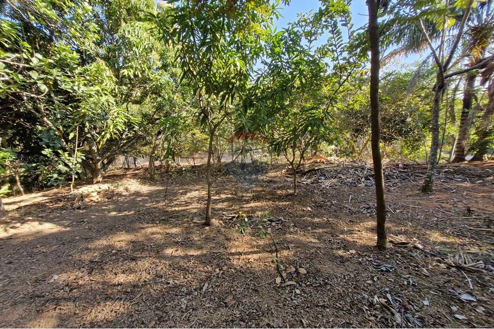 Rezidencijalno - Zemljište - Jaguariúna , Sao Paulo - BR - 20250814_151926.jpg - 690671008-326