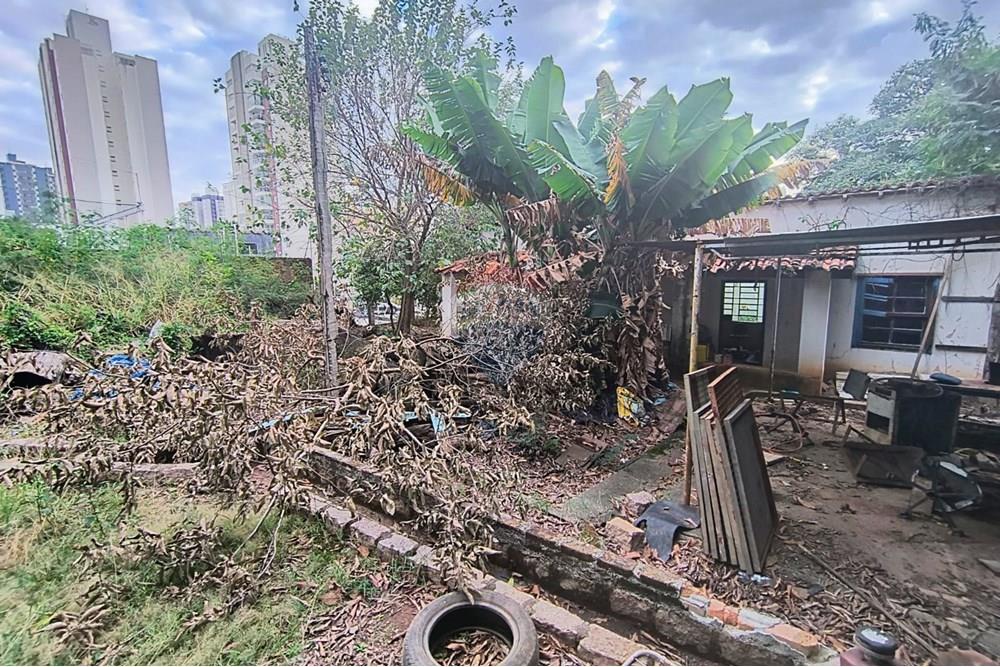 Terreno - Alugar - Campinas , São Paulo - WhatsApp Image 2025-06-30 at 16.56.56 (1).jpeg - 690681149-23