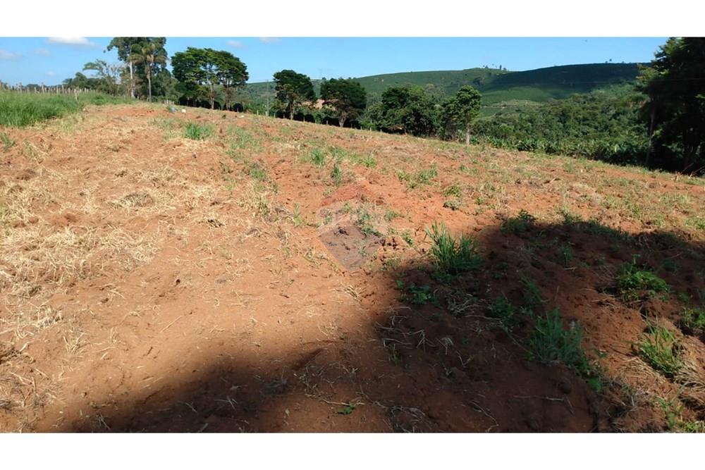 Fazenda - Venda - Campestre , Minas Gerais - 42d4c5bf-d803-4342-add6-87150b588630.jpg - 690291077-77