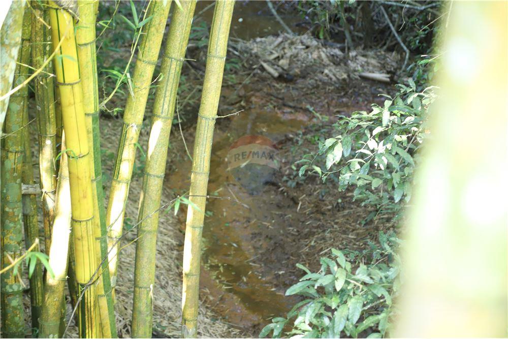 Sítio em Jarinu/São Paulo — Ref 6B2Y87 — Imagem 31