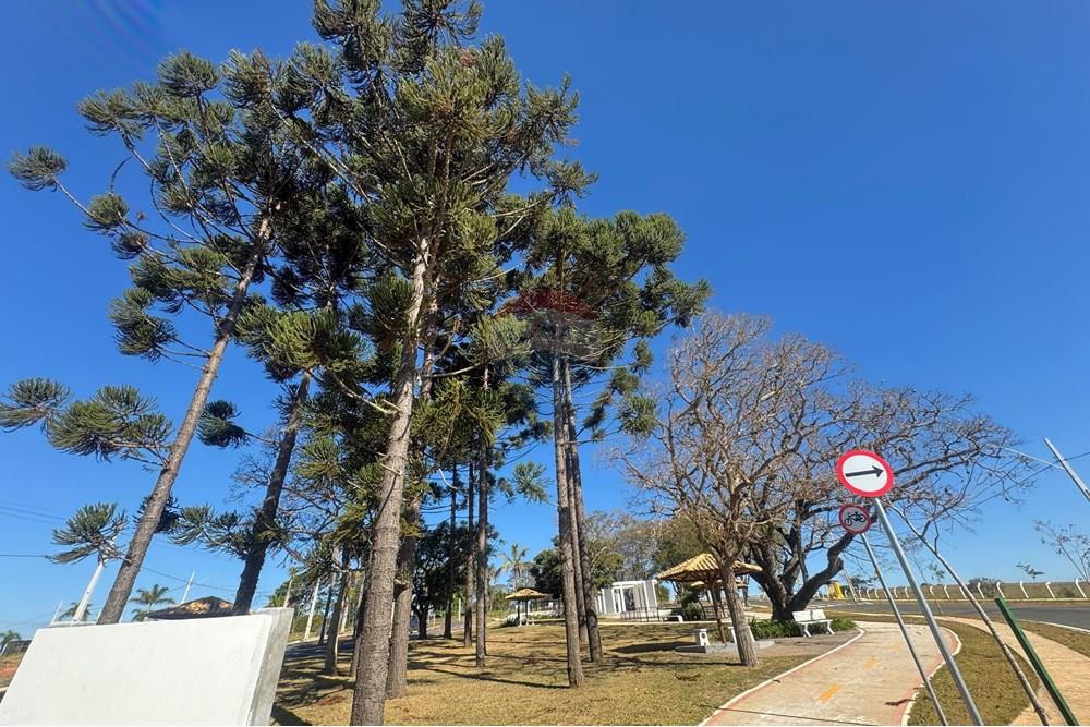 Terreno - Venda - Bragança Paulista , São Paulo - IMG_6726.JPEG - 690041049-58