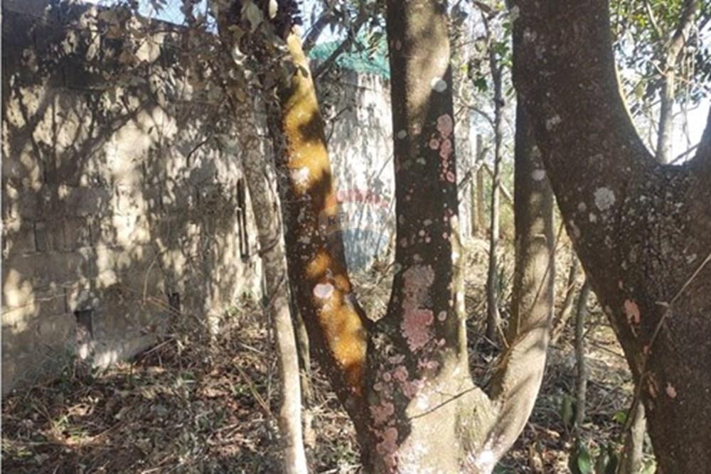 Terreno - Venda - Jarinu , São Paulo - WhatsApp Image 2025-05-27 at 18.32.29.jpeg - 690661027-110