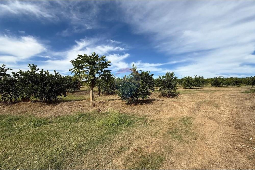 Chácara / Sítio / Fazenda - Venda - Itapira , São Paulo - WhatsApp Image 2025-07-07 at 10.48.25 (1).jpeg - 690521014-143