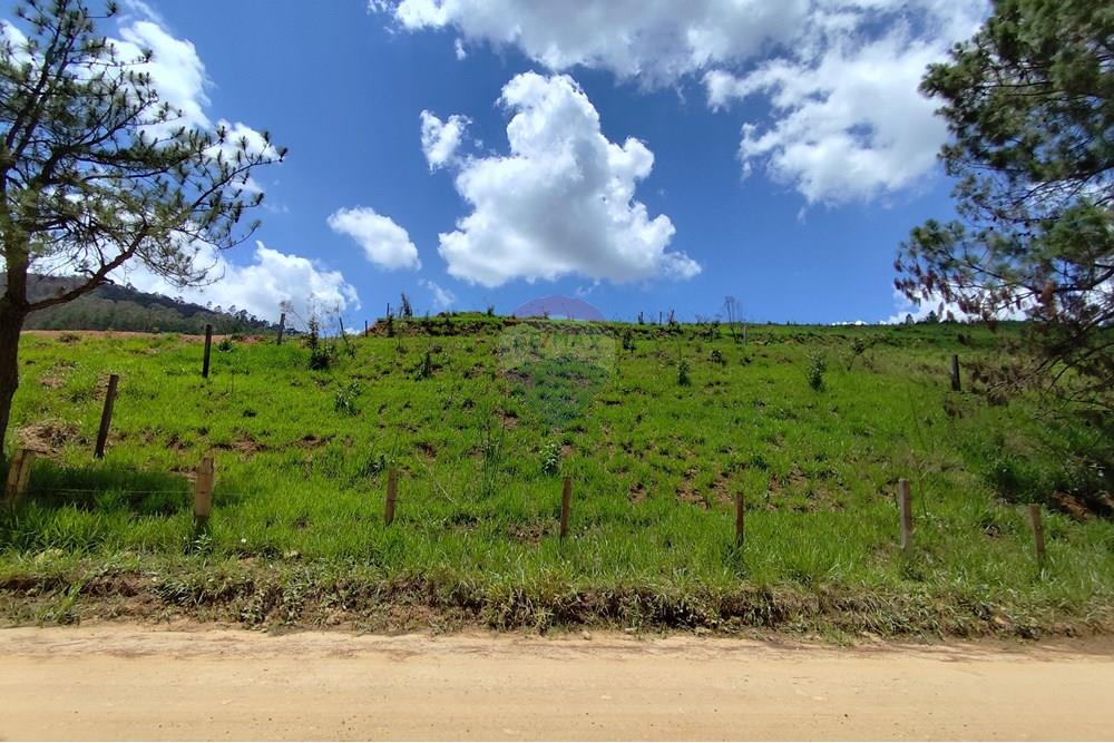 Terreno - Venda - Serra Negra , São Paulo - IMG_20241030_110904.jpg - 690291077-60