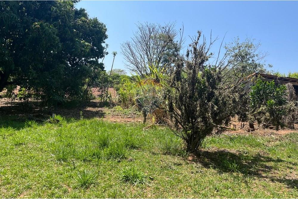 Chácara / Sítio / Fazenda - Venda - Valinhos , São Paulo - WhatsApp Image 2025-10-27 at 09.33.48 (6).jpeg - 691181004-89