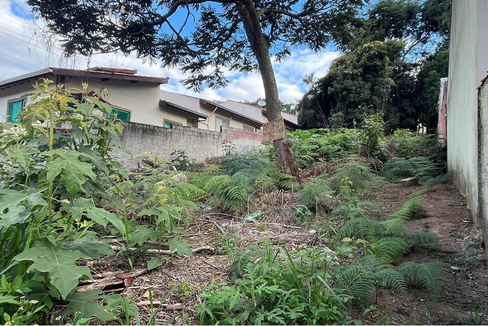 Terreno - Venda - Jarinu , São Paulo - IMG_3096.JPEG - 691121001-23