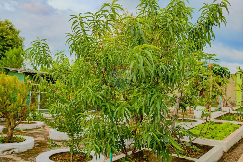 Casa - Venda - Atibaia , São Paulo - RINF-28.jpg - 690921096-6