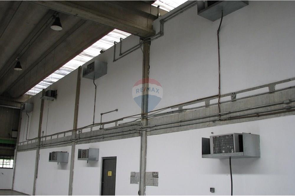 Galpão - Alugar - Campinas , São Paulo - AR 18 (1).jpg - 690331002-218