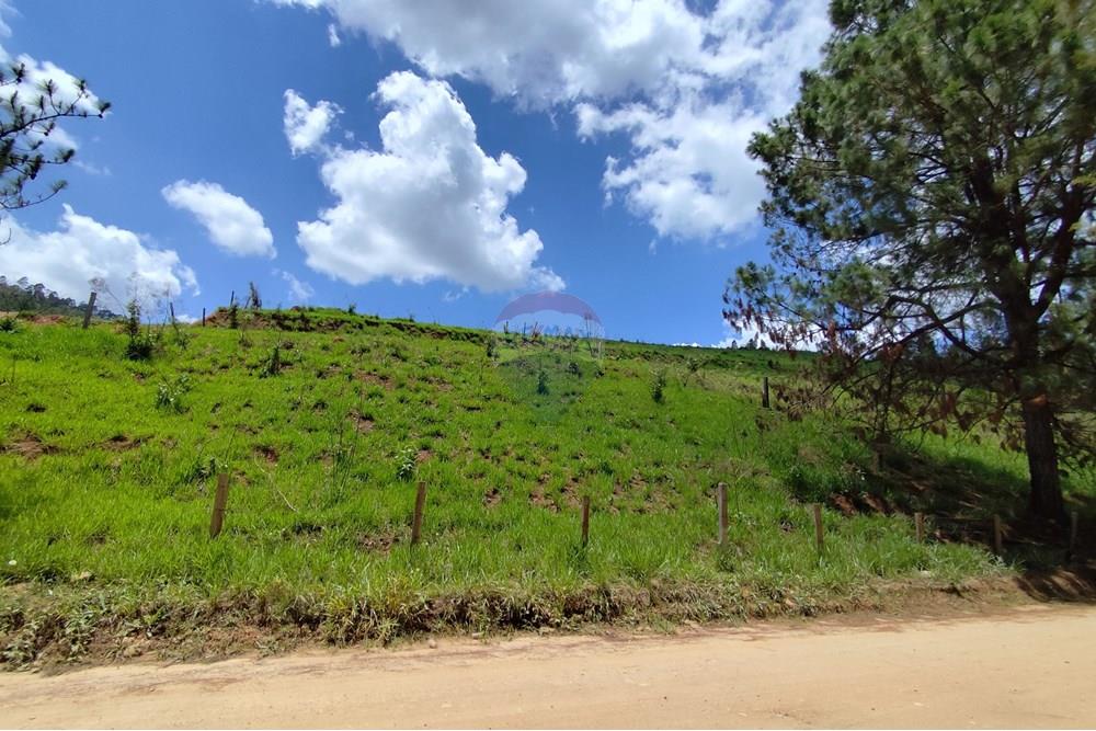 Terreno - Venda - Serra Negra , São Paulo - IMG_20241030_110907.jpg - 690291077-60