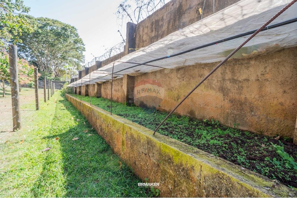 Apartamento - Venda - Campinas , São Paulo - Fotos imobiliarias -_-164.jpg - 690681117-62