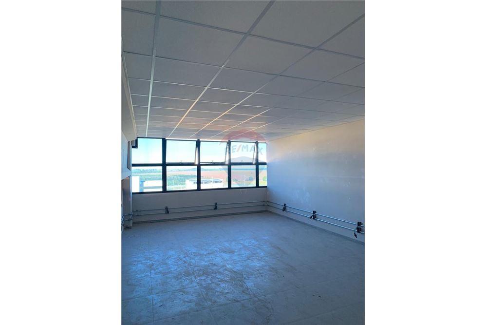 Galpão - Alugar - Mogi Mirim , São Paulo - 27 - 690751019-407